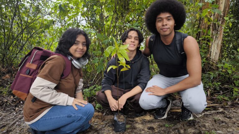 photo_4987810405375740726_y