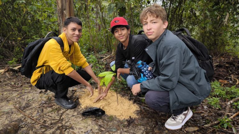 photo_4987810405375740727_y