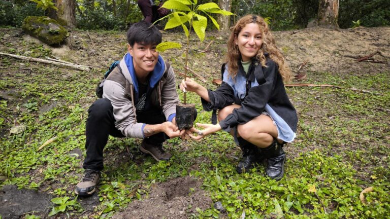 photo_4987810405375740735_y