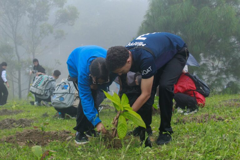 photo_4988253474201996070_w