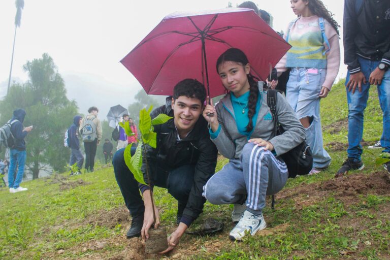 photo_4988253474201996083_w