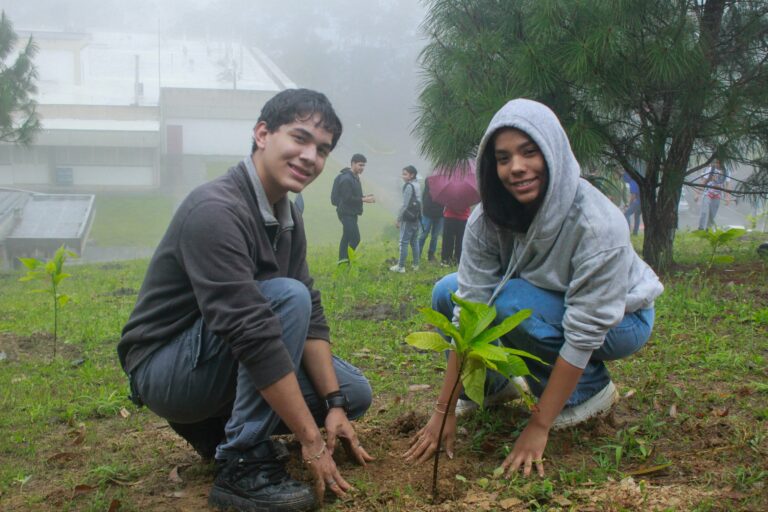 photo_4988253474201996096_w