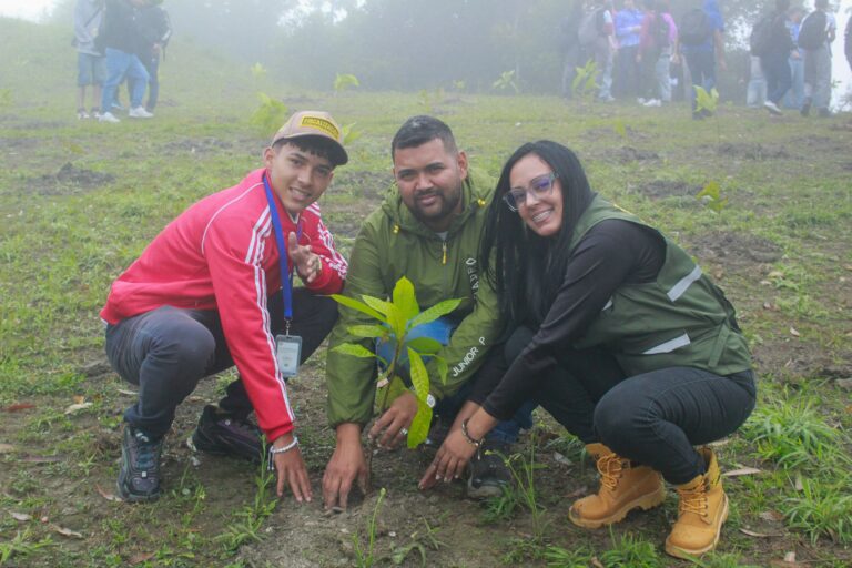 photo_4988253474201996102_w