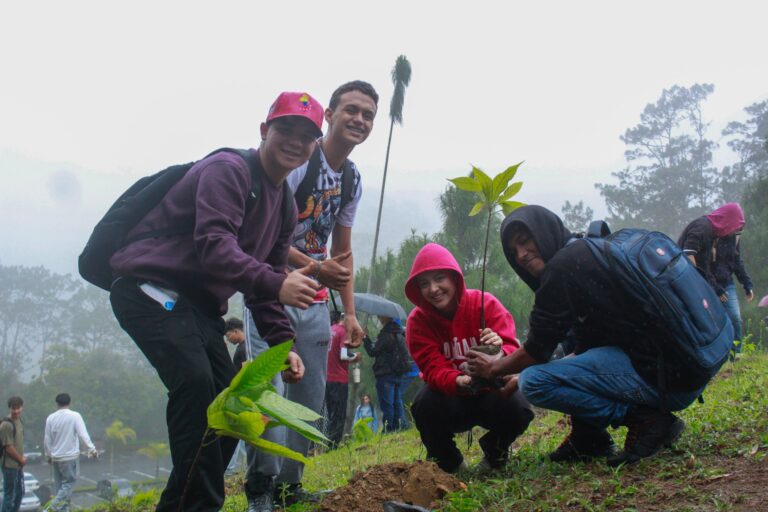 photo_4988253474201996113_w