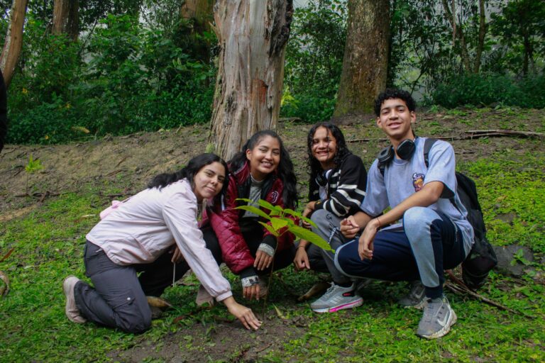 photo_4988253474201996116_w