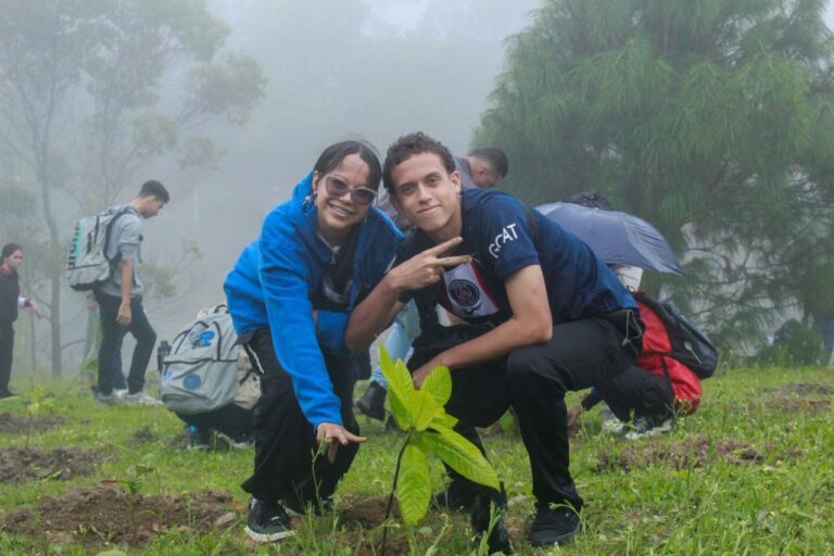 photo_4988253474201996118_y