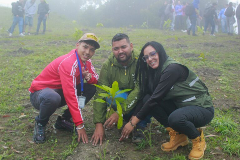 photo_4988253474201996120_w