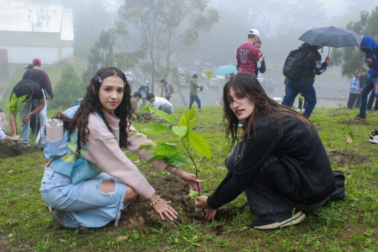 photo_4988253474201996122_w