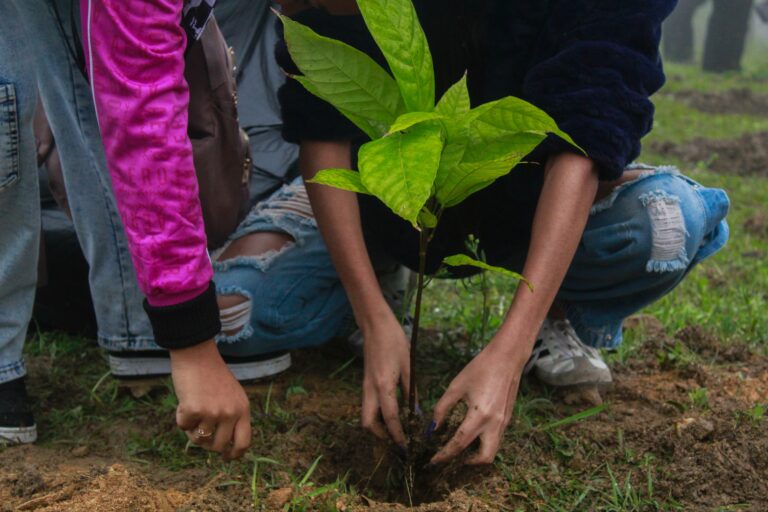 photo_4988253474201996123_w