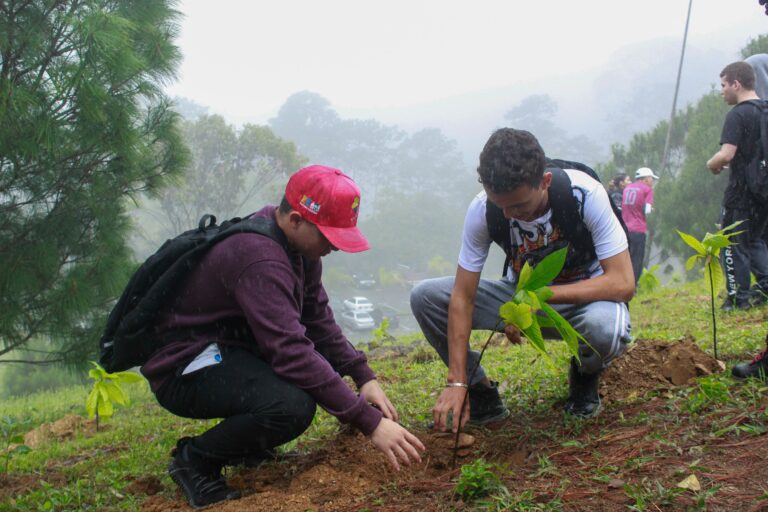 photo_4988253474201996124_w