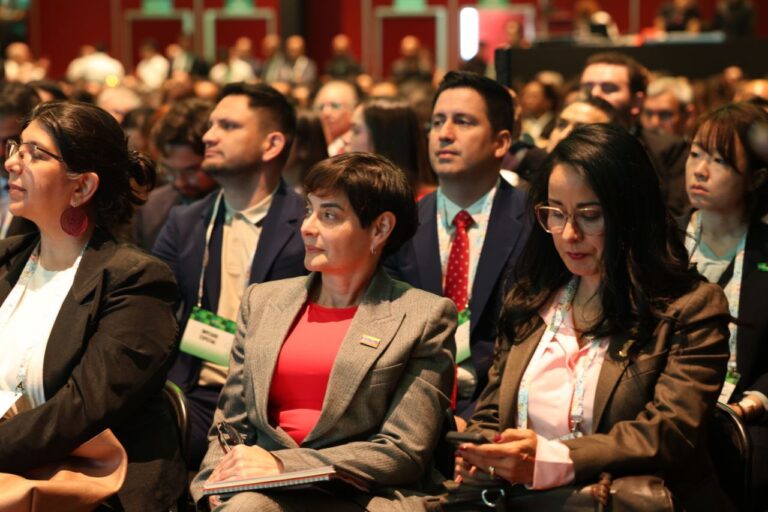 photo_2025-12-04_13-53-10-1-768x512