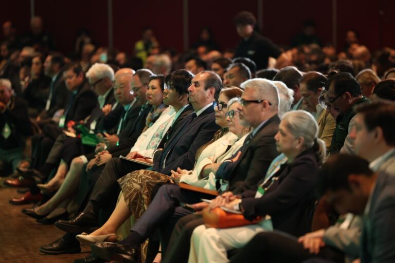 photo_2025-12-04_13-53-12-1-768x512